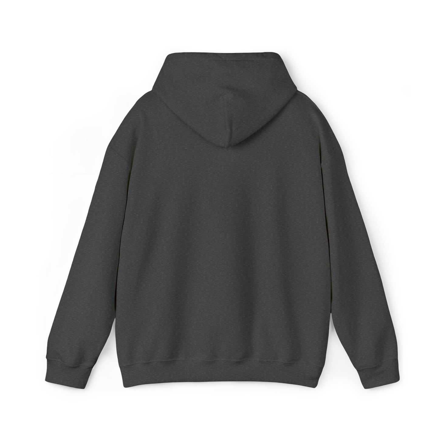 CountryLine Big Logo Hoodie | Unisex | All Colours